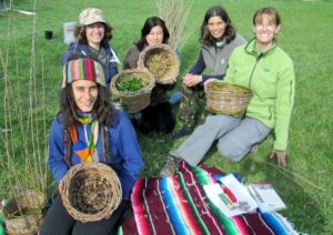 Willow Basket Workshop