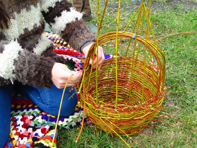 Making a willow basket.